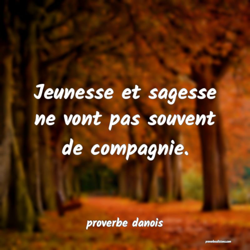  Jeunesse et sagesse ne vont pas souvent de compagnie.