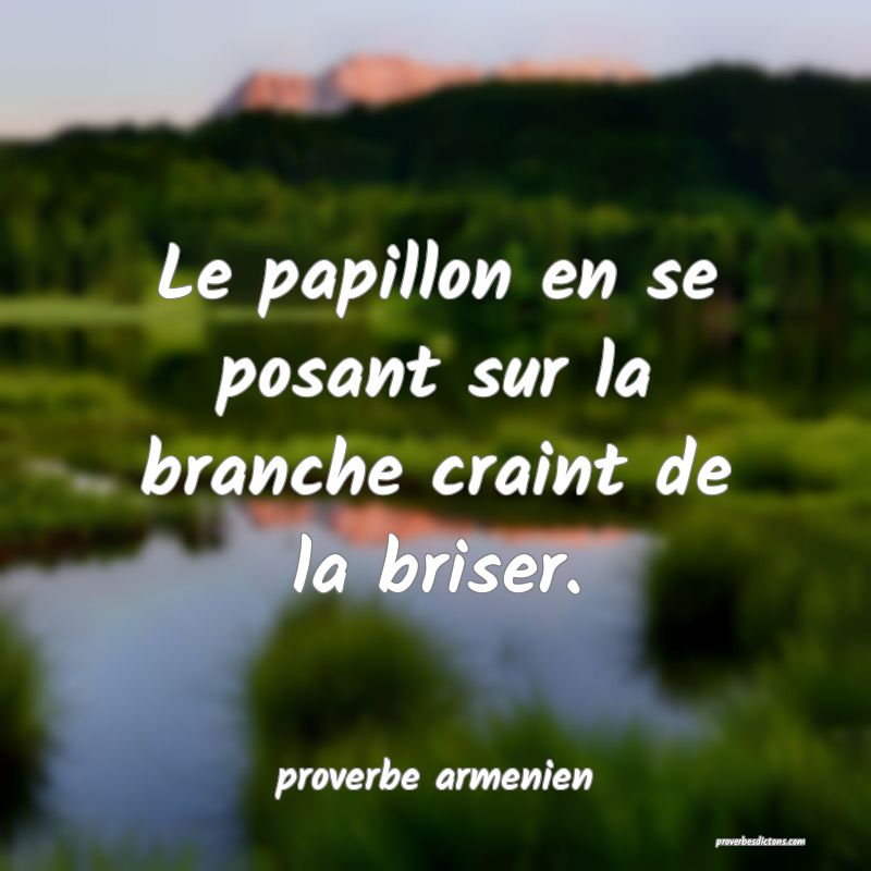  Le papillon en se posant sur la branche craint de la briser.