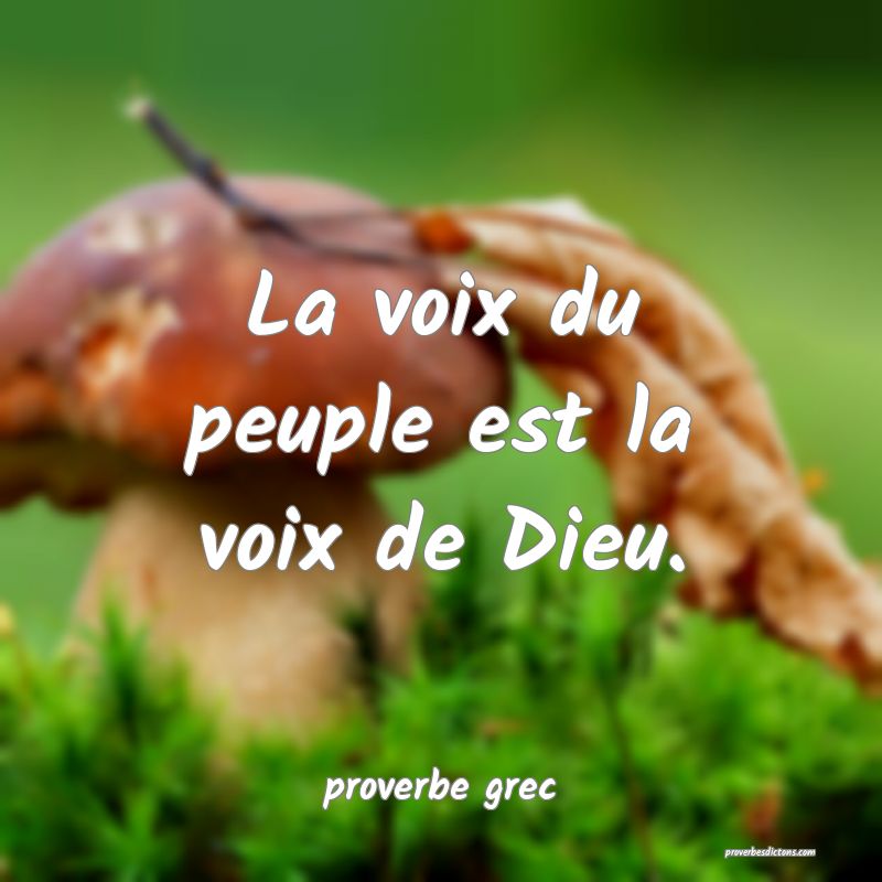  La voix du peuple est la voix de Dieu.