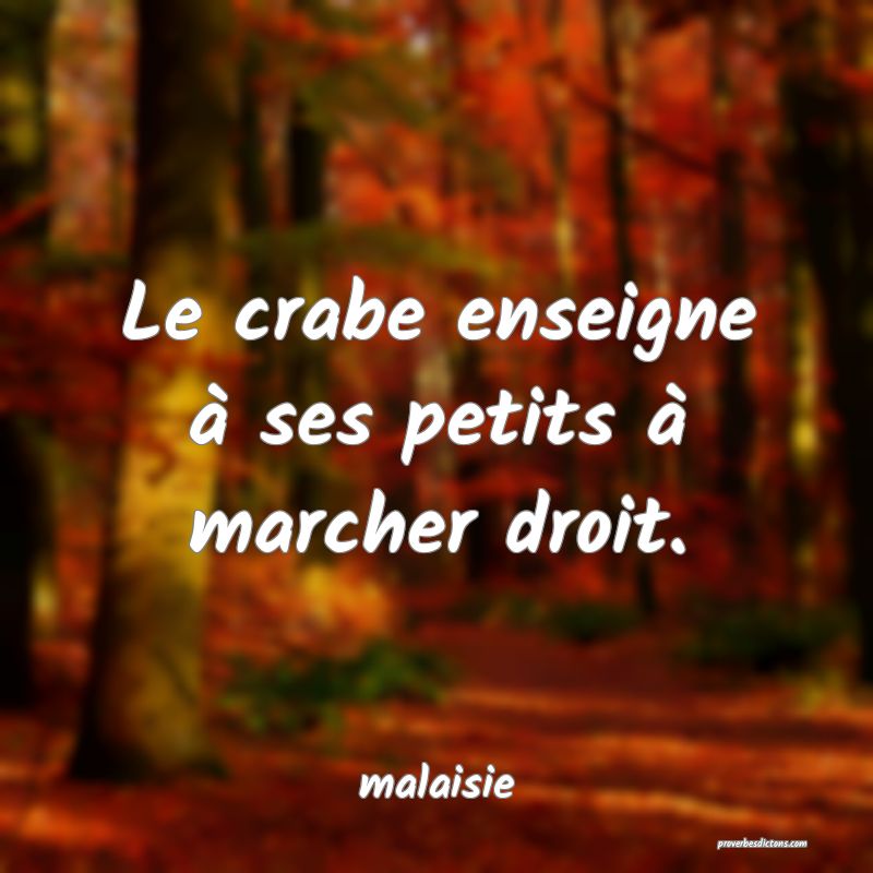  Le crabe enseigne à ses petits à marcher droit.