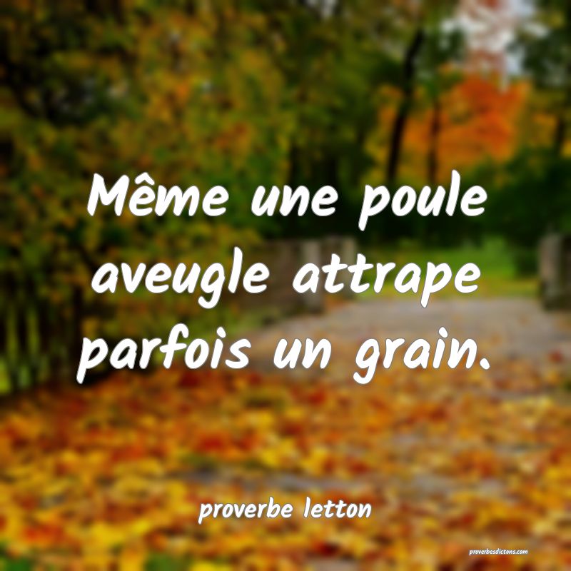  Même une poule aveugle attrape parfois un grain.