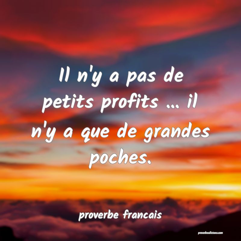  Il n'y a pas de petits profits ... il n'y a que de grandes poches.