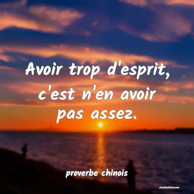  Avoir trop d'esprit, c'est n'en avoir pas assez.