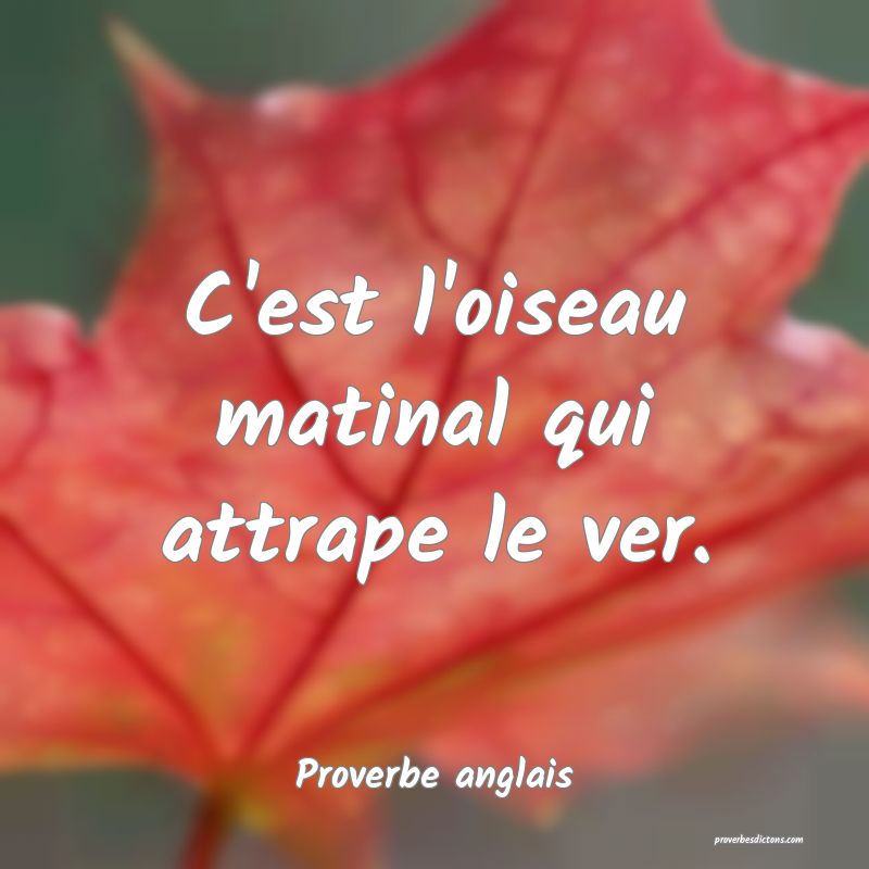  C'est l'oiseau matinal qui attrape le ver.