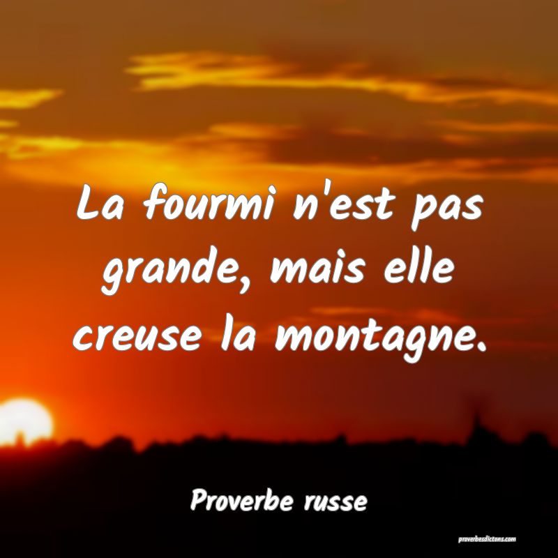  La fourmi n'est pas grande, mais elle creuse la montagne.