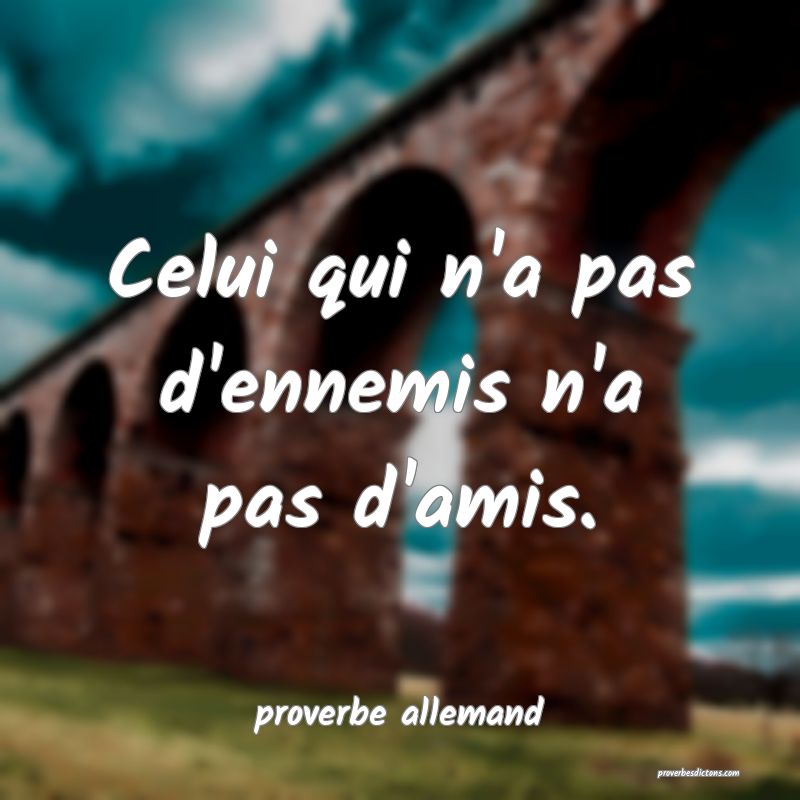  Celui qui n'a pas d'ennemis n'a pas d'amis.