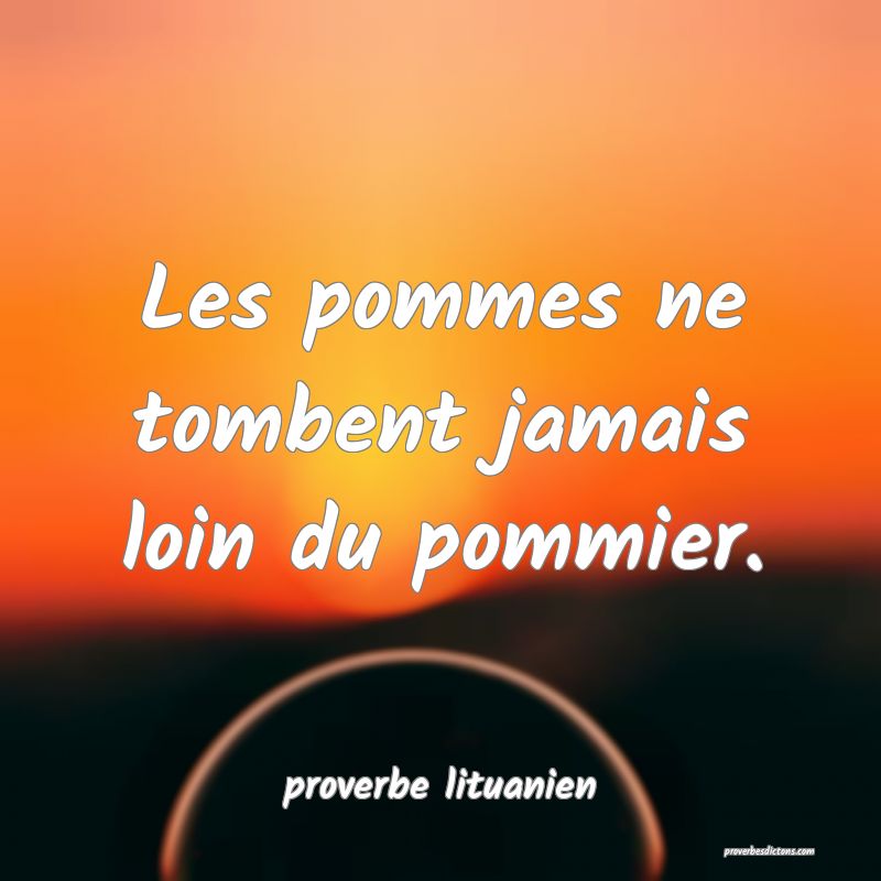  Les pommes ne tombent jamais loin du pommier.