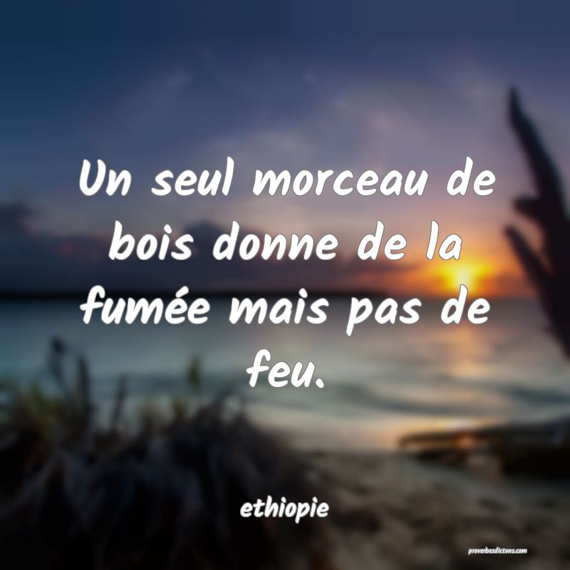  Un seul morceau de bois donne de la fumée mais pas de feu.