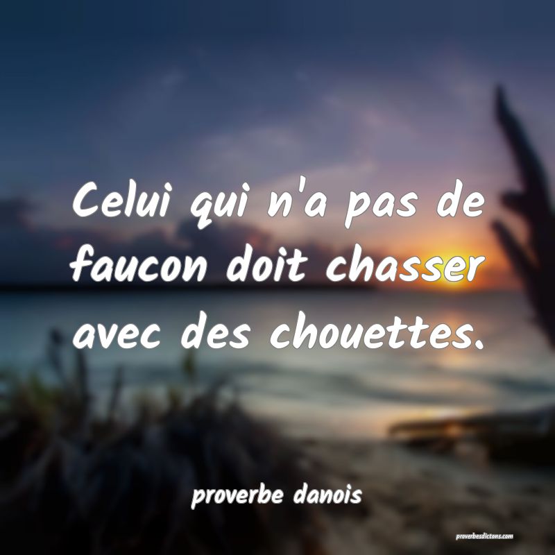  Celui qui n'a pas de faucon doit chasser avec des chouettes.