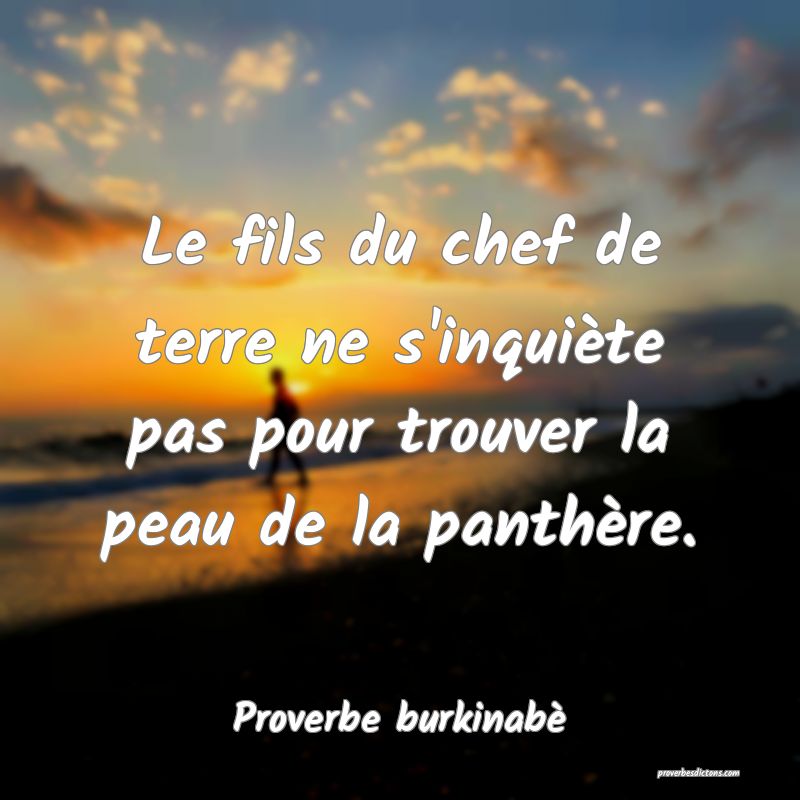  Le fils du chef de terre ne s'inquiète pas pour trouver la peau de la panthère.