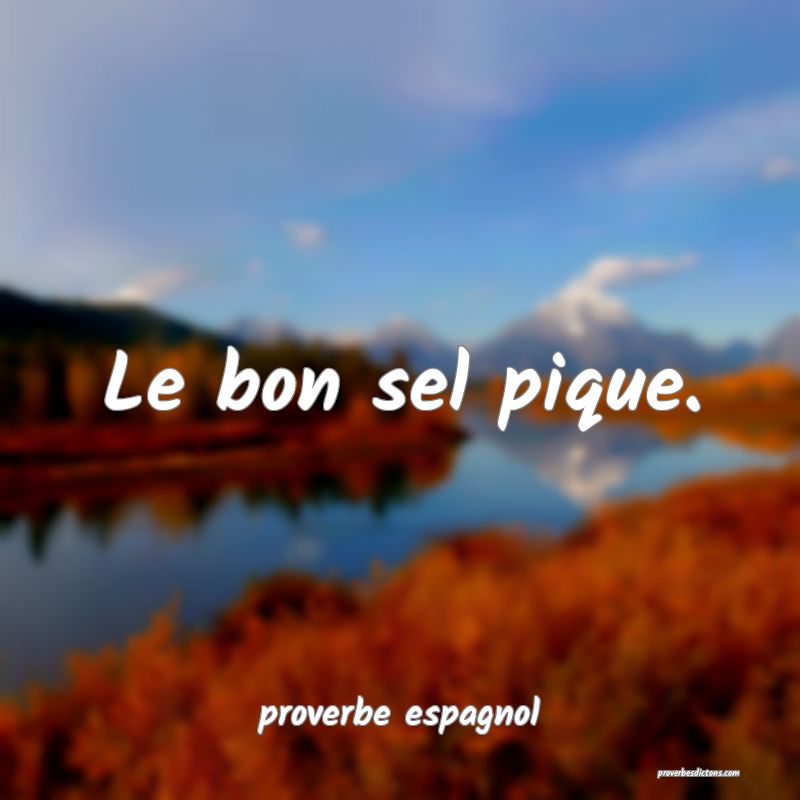  Le bon sel pique.