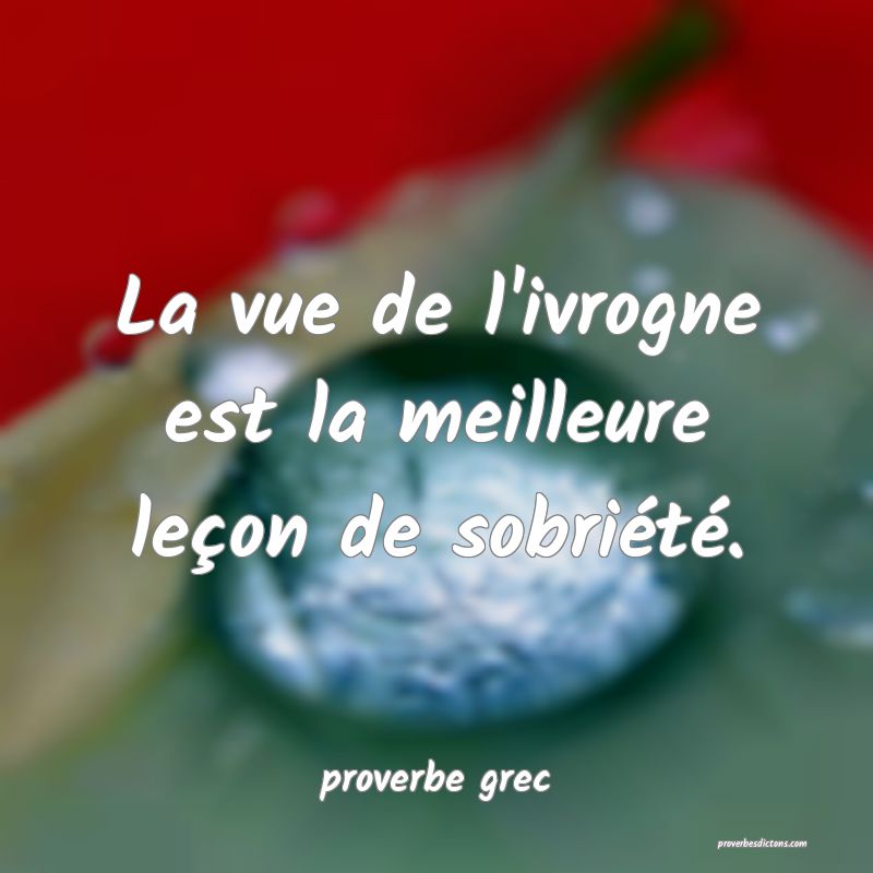  La vue de l'ivrogne est la meilleure leçon de sobriété.