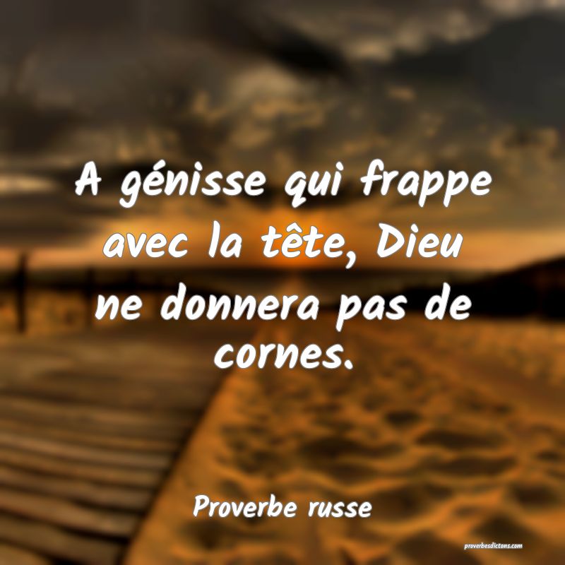  A génisse qui frappe avec la tête, Dieu ne donnera pas de cornes.