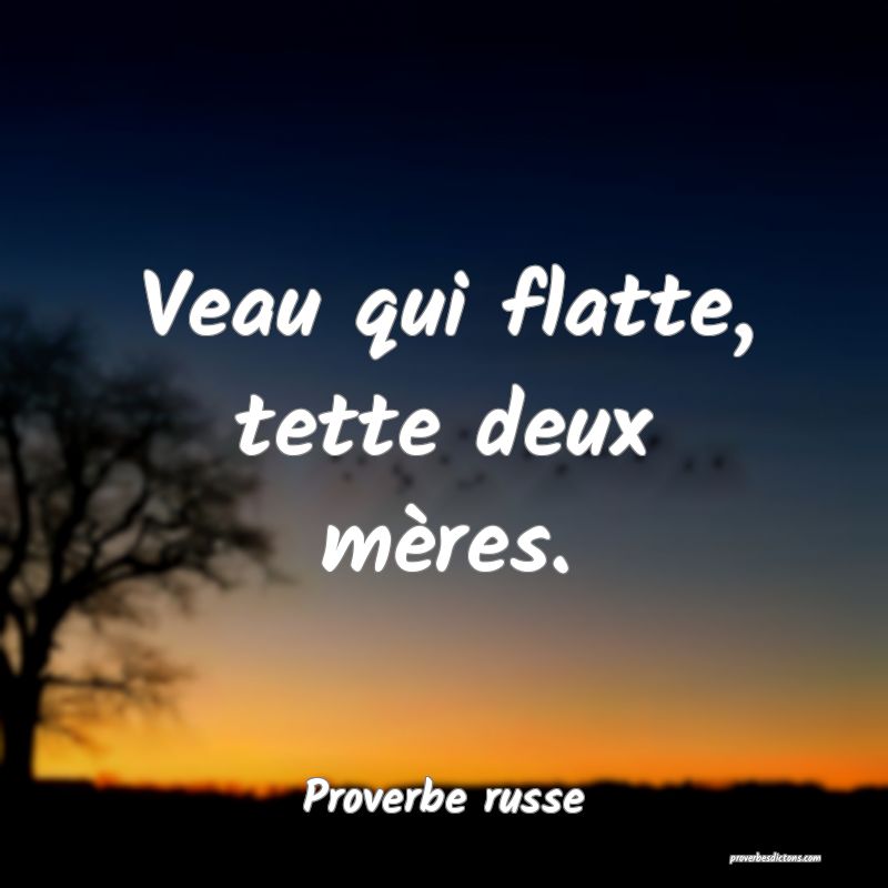  Veau qui flatte, tette deux mères.