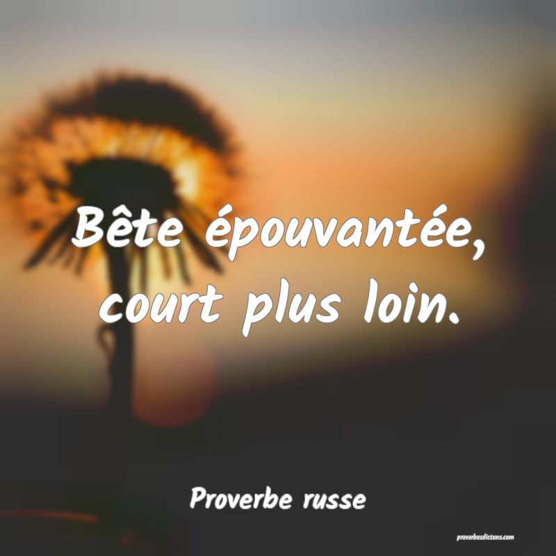  Bête épouvantée, court plus loin.