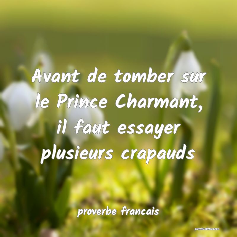  Avant de tomber sur le Prince Charmant, il faut essayer plusieurs crapauds