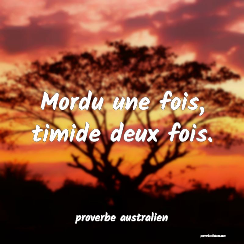  Mordu une fois, timide deux fois.