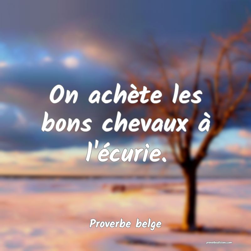  On achète les bons chevaux à l'écurie.