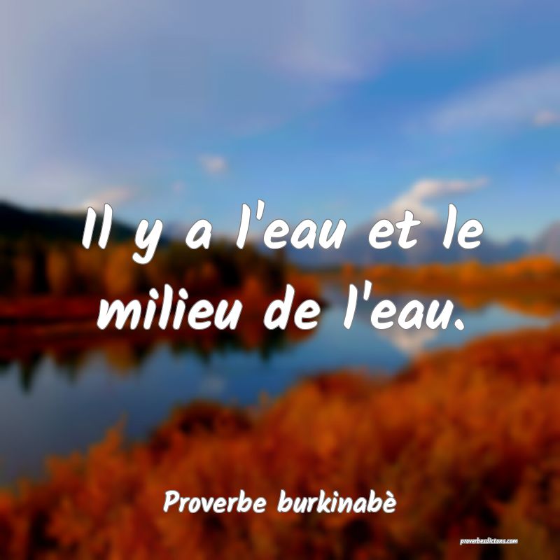 Il y a l'eau et le milieu de l'eau.