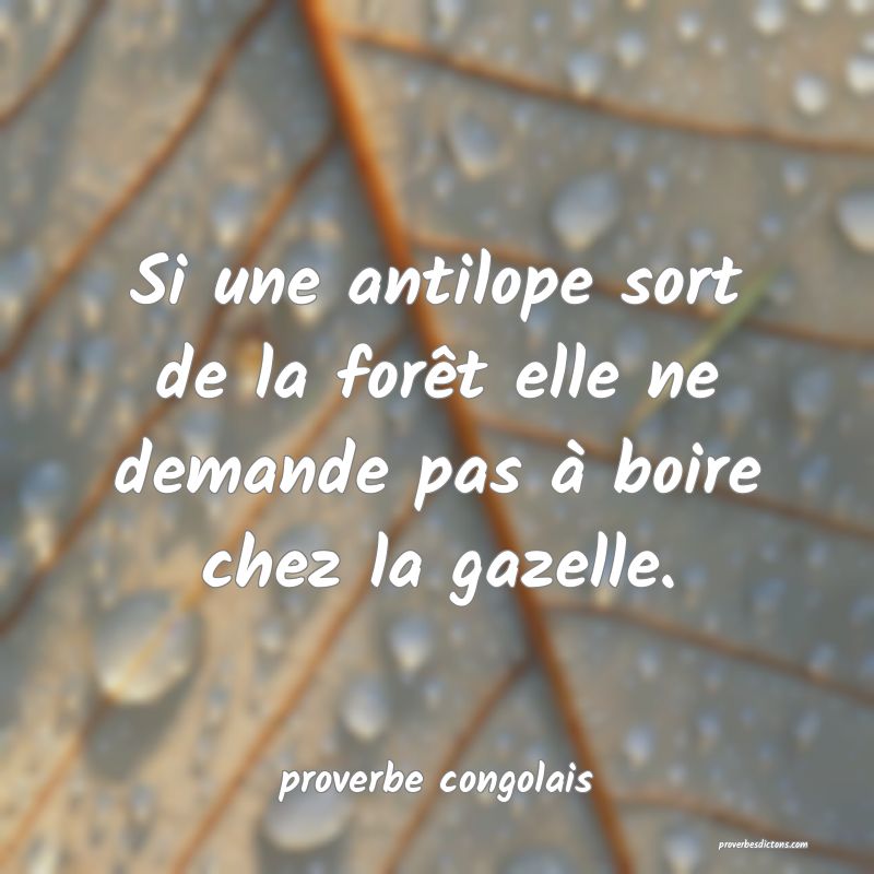  Si une antilope sort de la forêt elle ne demande pas à boire chez la gazelle.