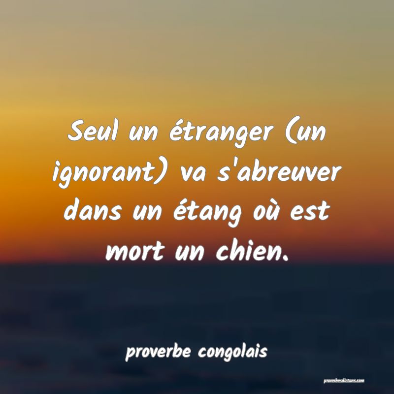 Seul un étranger (un ignorant) va s'abreuver dans un étang où est mort un chien.