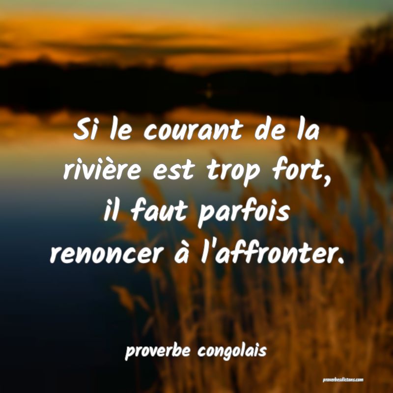 Si le courant de la rivière est trop fort, il faut parfois renoncer à l'affronter.