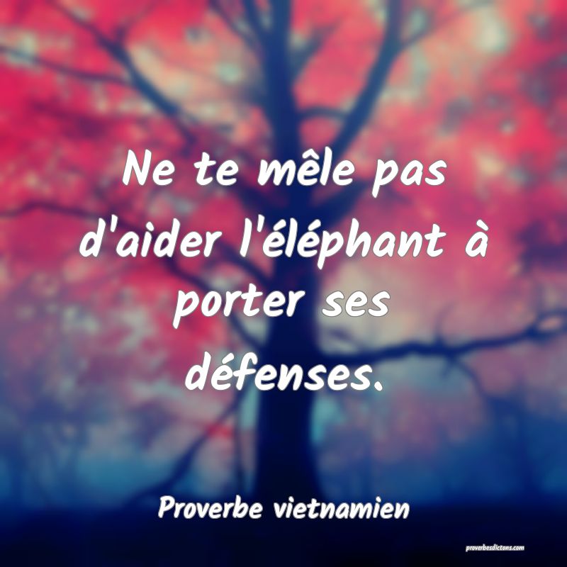  Ne te mêle pas d'aider l'éléphant à porter ses défenses.
