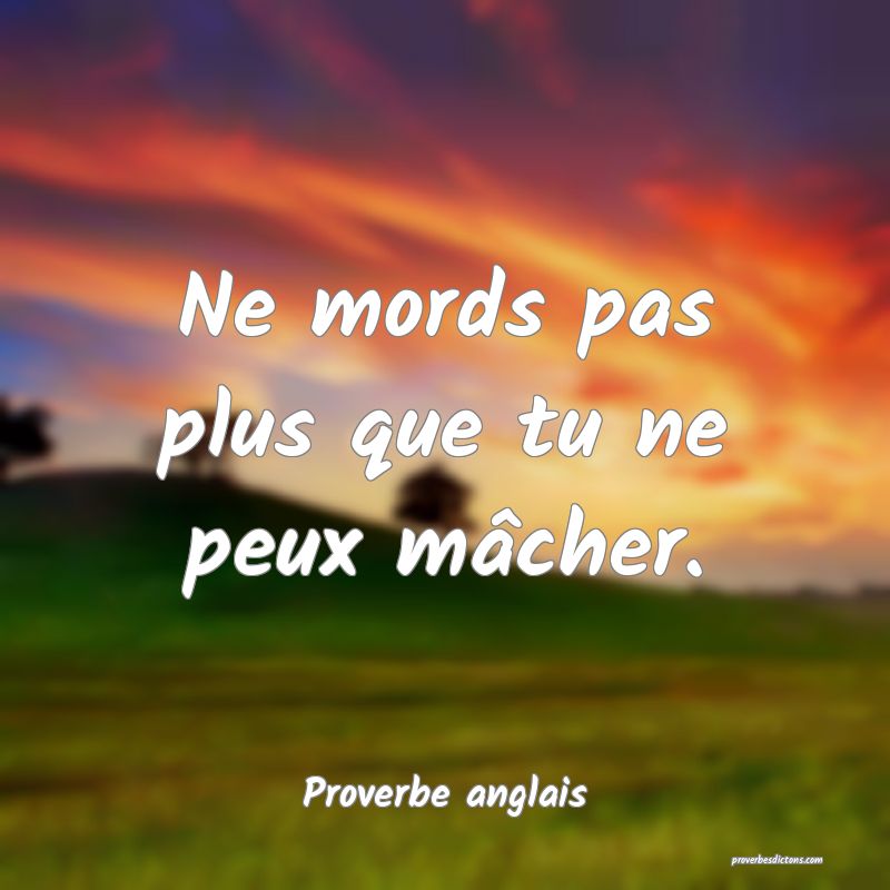 Ne mords pas plus que tu ne peux mâcher.