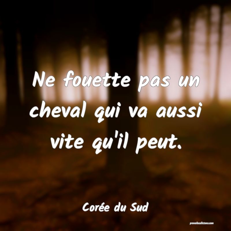  Ne fouette pas un cheval qui va aussi vite qu'il peut.