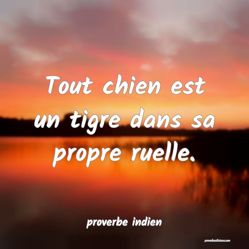  Tout chien est un tigre dans sa propre ruelle.