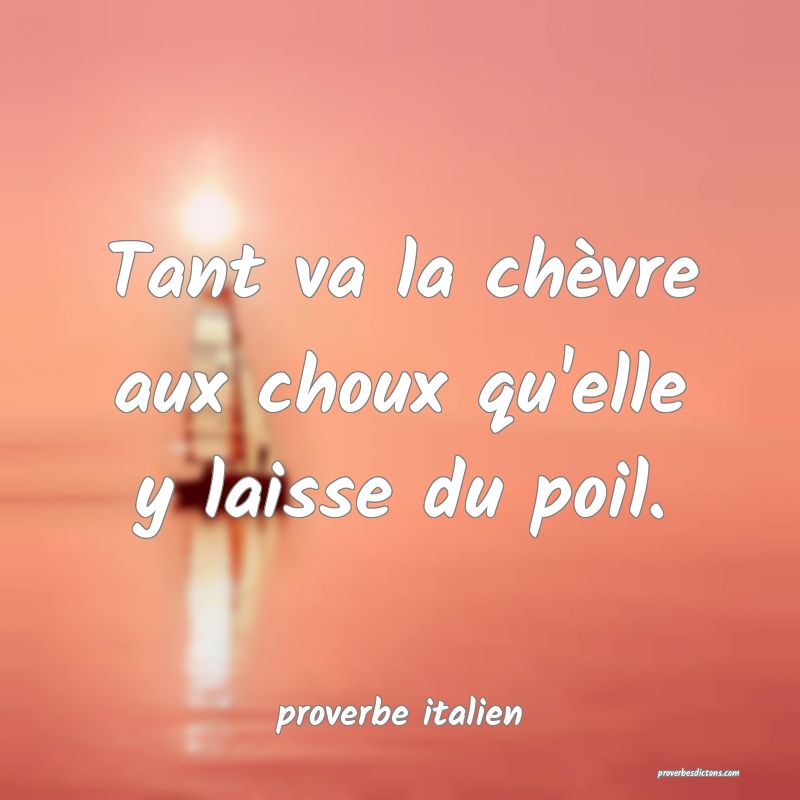  Tant va la chèvre aux choux qu'elle y laisse du poil.