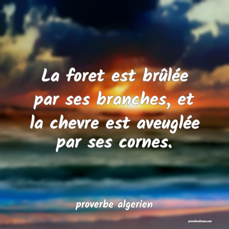  La foret est brûlée par ses branches, et la chevre est aveuglée par ses cornes.