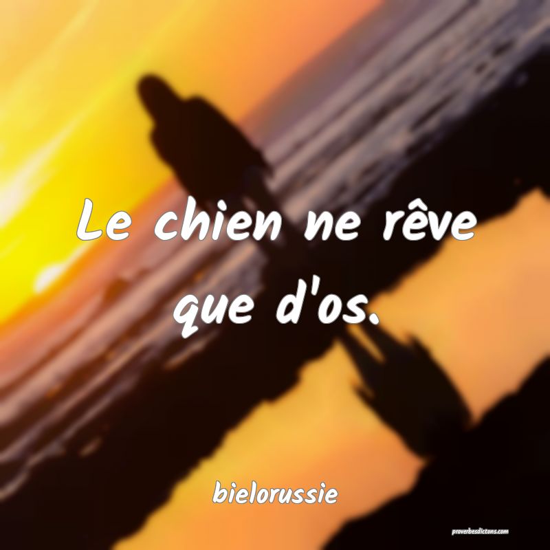  Le chien ne rêve que d'os.