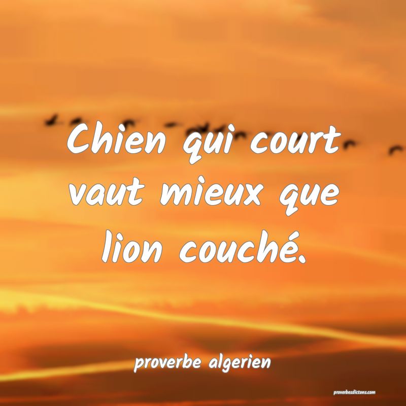  Chien qui court vaut mieux que lion couché.