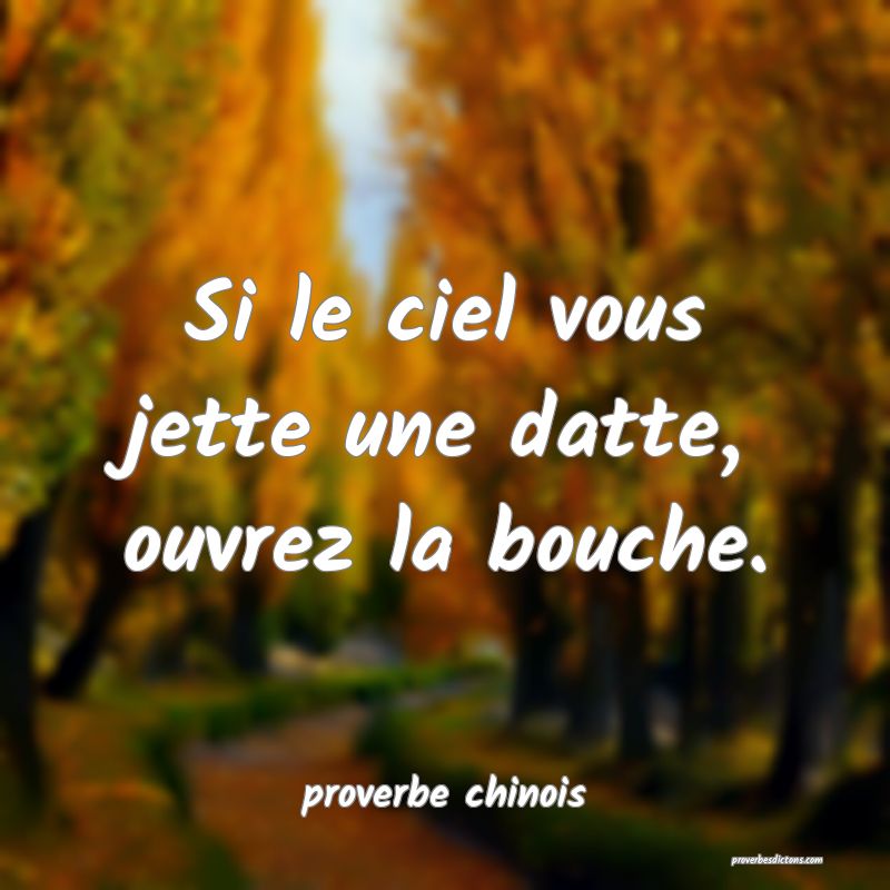  Si le ciel vous jette une datte, ouvrez la bouche.
