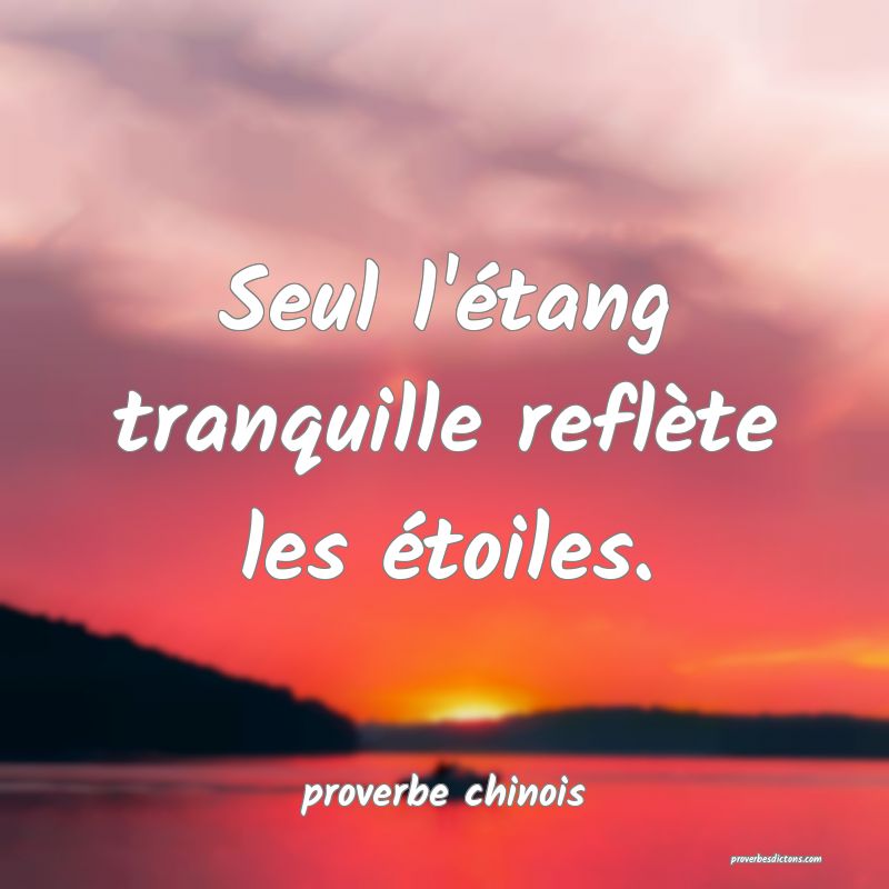  Seul l'étang tranquille reflète les étoiles.