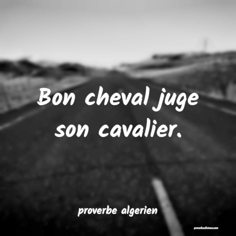  Bon cheval juge son cavalier.