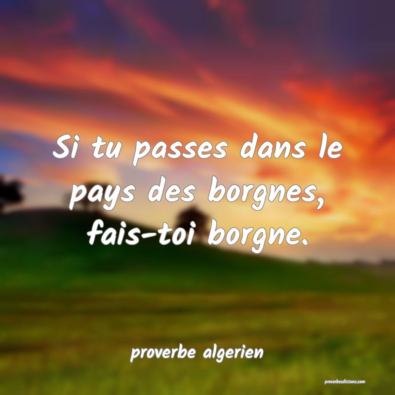  Si tu passes dans le pays des borgnes, fais-toi borgne.