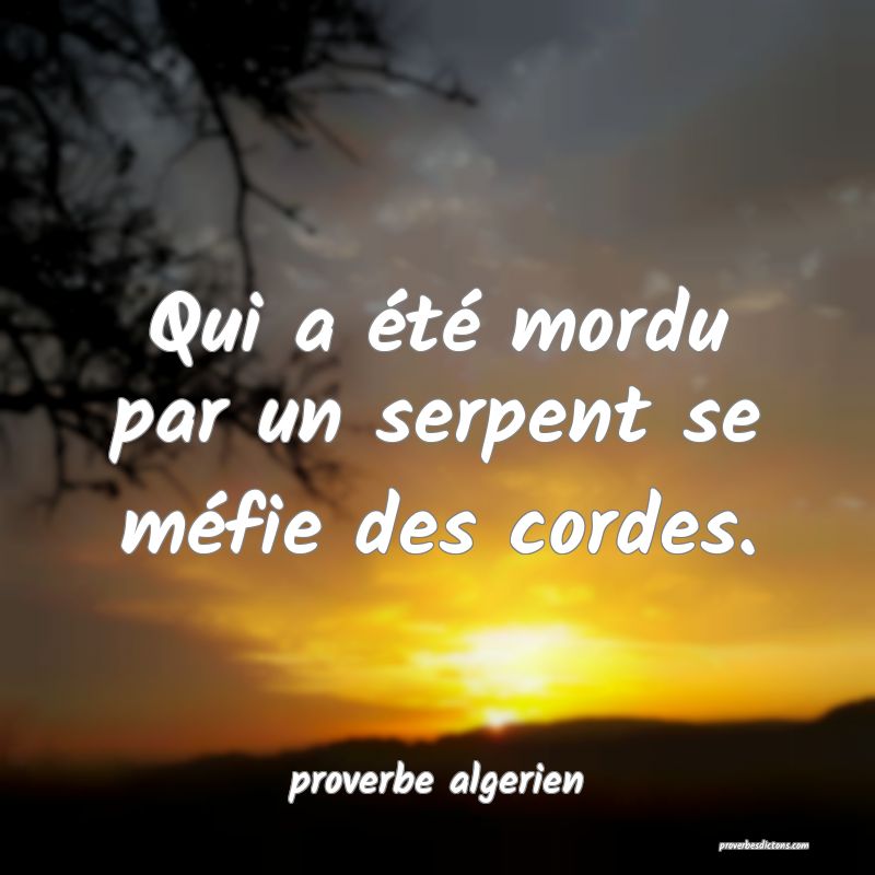  Qui a été mordu par un serpent se méfie des cordes.