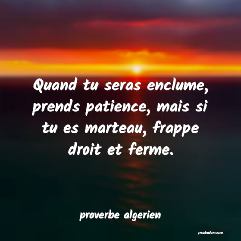  Quand tu seras enclume, prends patience, mais si tu es marteau, frappe droit et ferme.