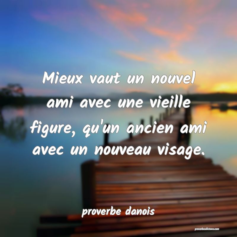  Mieux vaut un nouvel ami avec une vieille figure, qu'un ancien ami avec un nouveau visage.