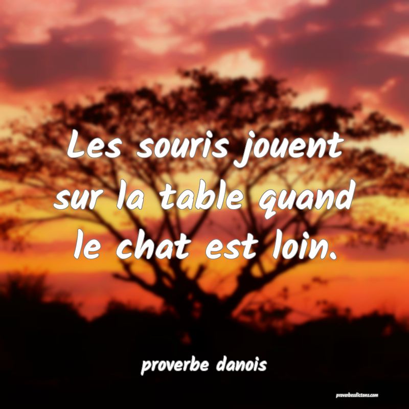  Les souris jouent sur la table quand le chat est loin.