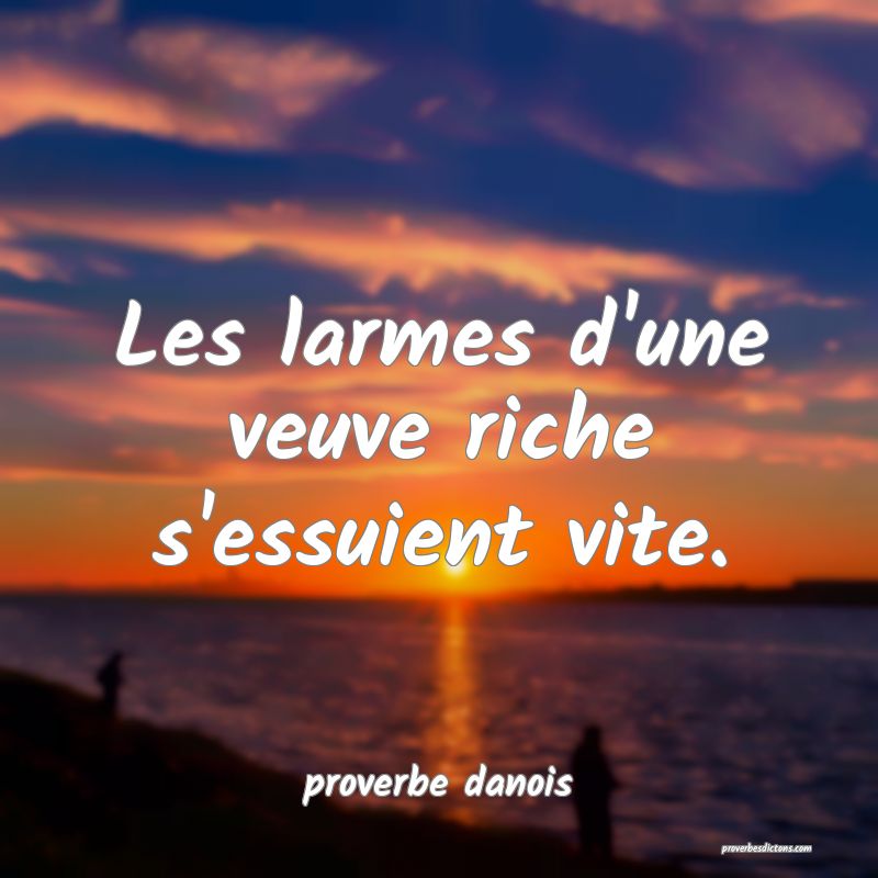  Les larmes d'une veuve riche s'essuient vite.