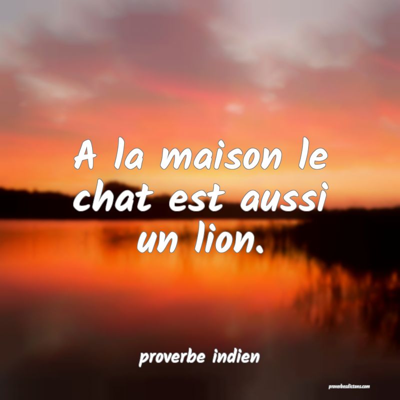  A la maison le chat est aussi un lion.
