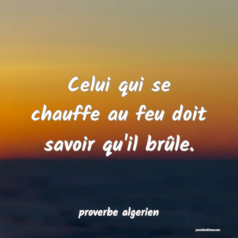  Celui qui se chauffe au feu doit savoir qu'il brûle.