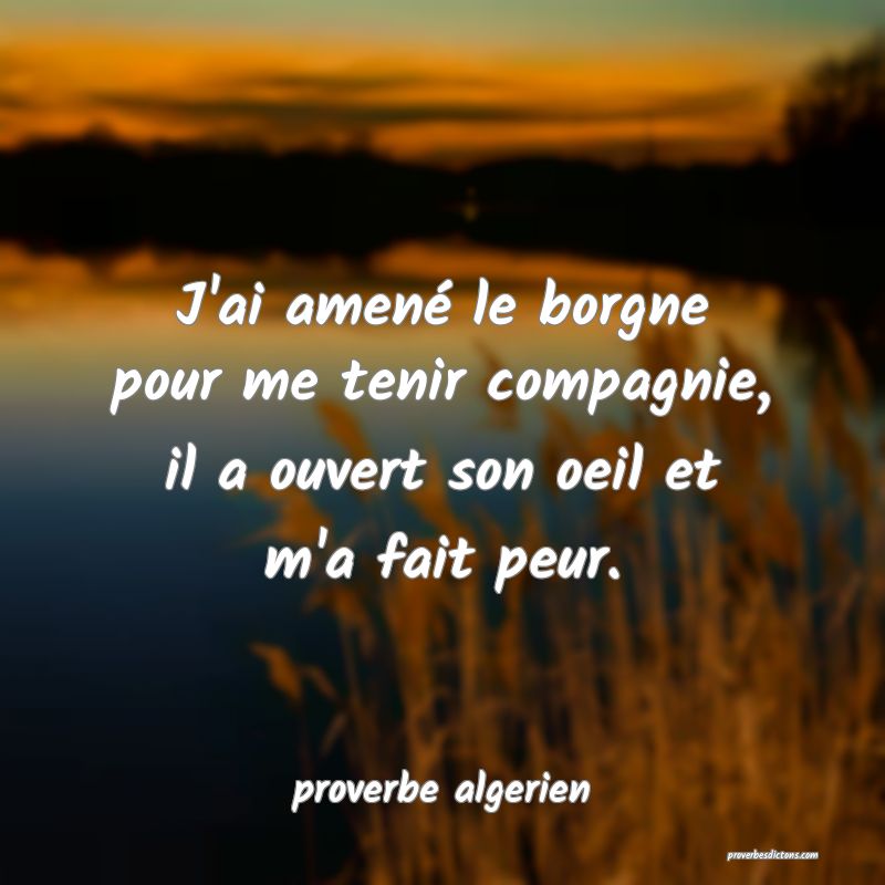  J'ai amené le borgne pour me tenir compagnie, il a ouvert son oeil et m'a fait peur.