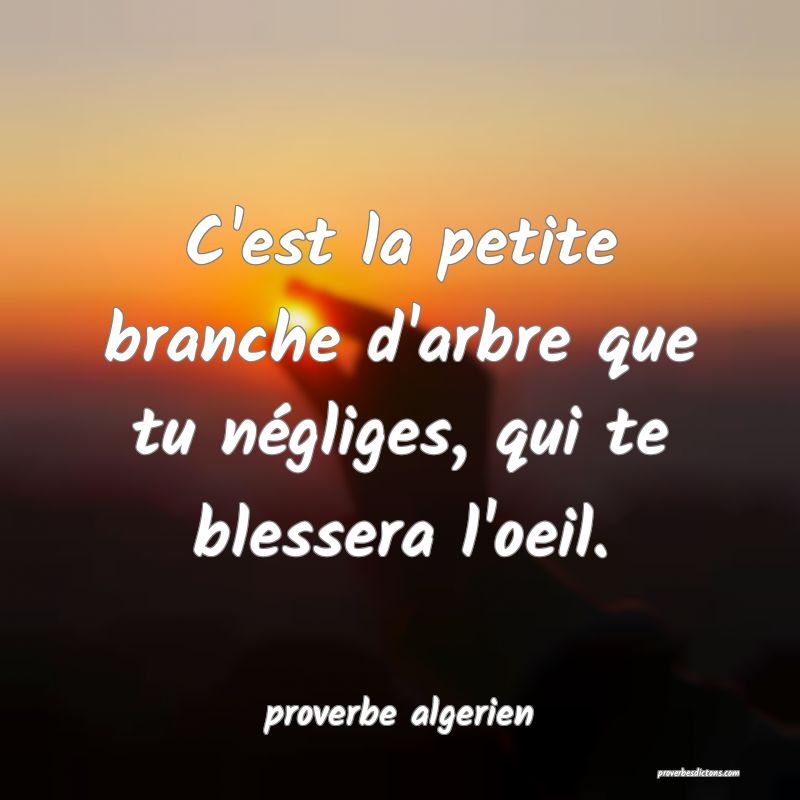  C'est la petite branche d'arbre que tu négliges, qui te blessera l'oeil.