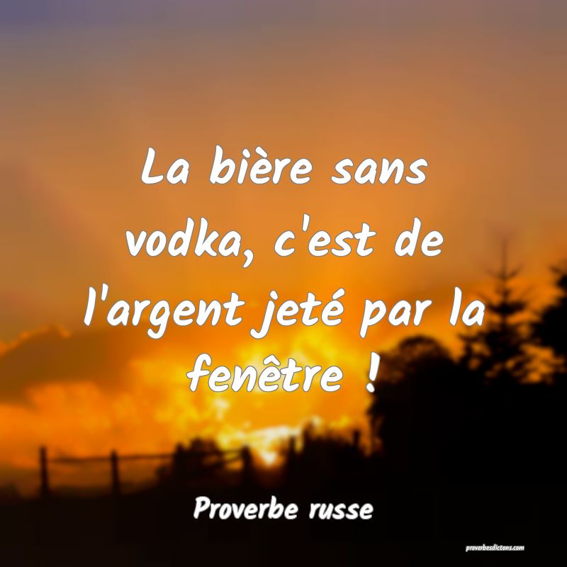  La bière sans vodka, c'est de l'argent jeté par la fenêtre !