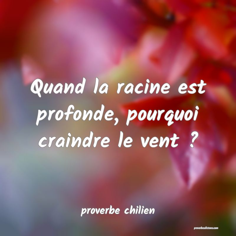 Quand la racine est profonde, pourquoi craindre le vent ?