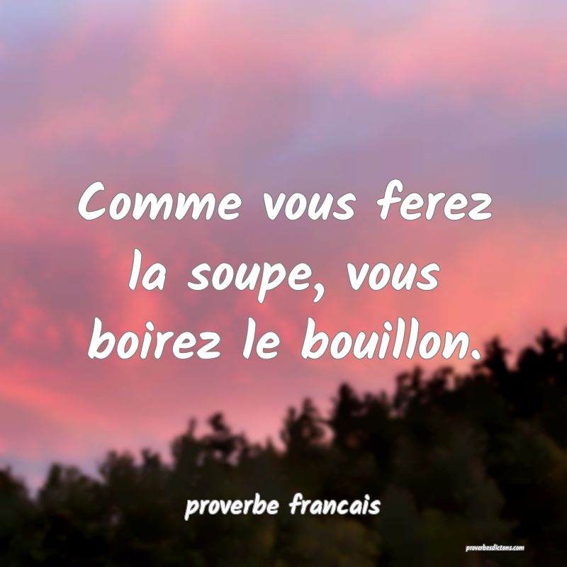  Comme vous ferez la soupe, vous boirez le bouillon.